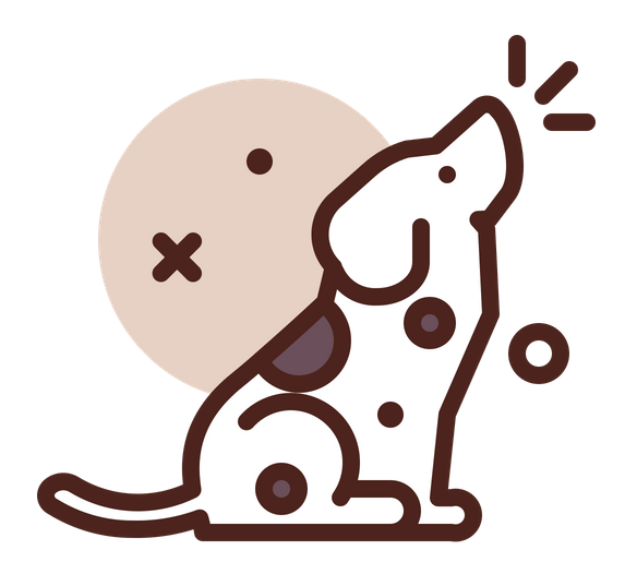 Selling beverages for dogs in the United States Importing and selling beverages in America