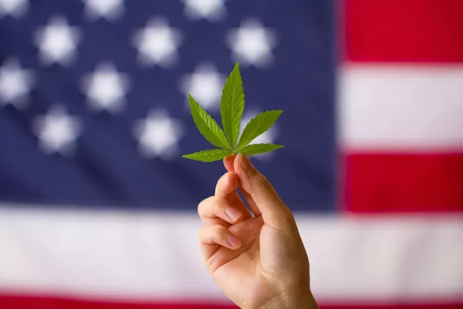 Regulations on the sale of cannabis in New York