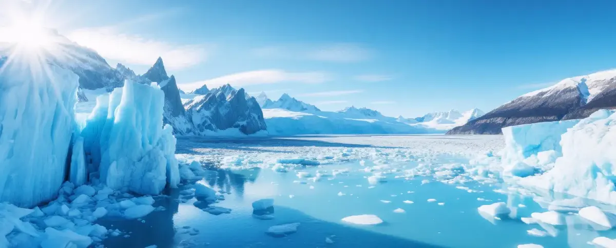 The American frozen goods market