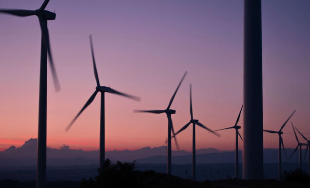 the US energy industry wants to increase production of this wind power in the USA