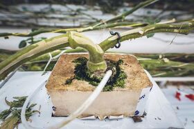 vertical_farming_1.jpg vertical_farming_1.jpg