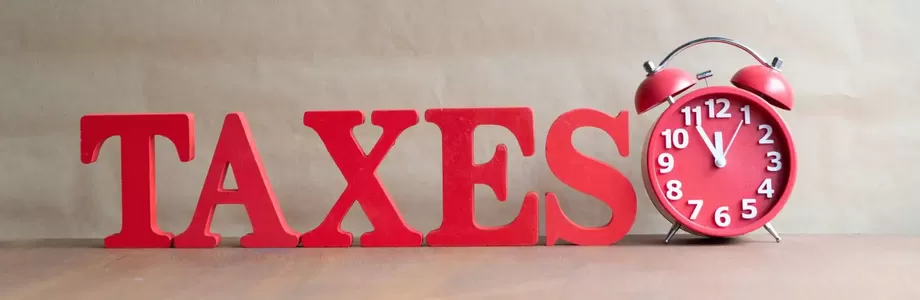 Income Tax Rates for Individuals 2024 in America