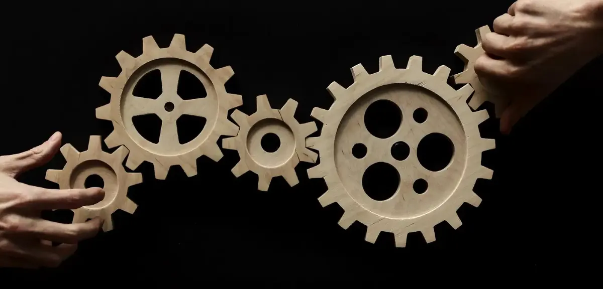 Notes on Management and Operation of LLCs