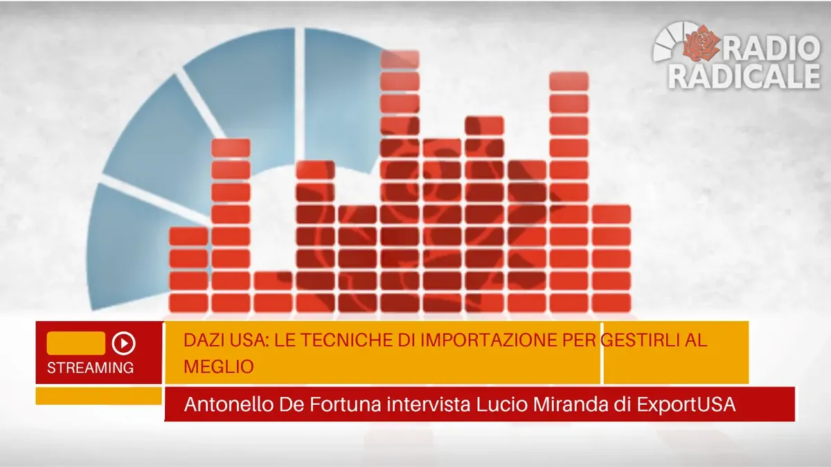 Radio Radicale interviews Lucio Miranda of ExportUSA about import techniques in America on July 30, 2025